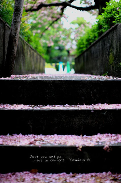 桜が まだ残るころ 上野にて