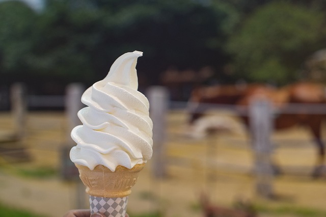 成田夢牧場でソフトクリーム　　これさぁ　甘すぎるよね　気持ち悪くなったよ